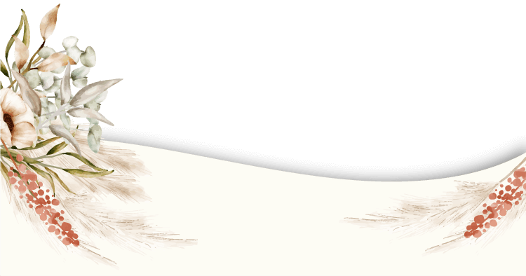 Curva portada